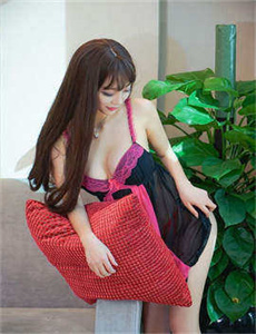 女婿上门了精彩片段