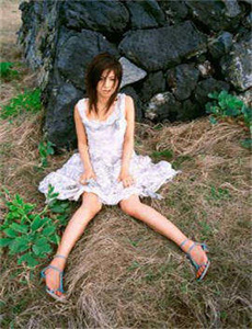野性佛罗里达
