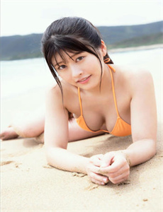 乘龙怪婿4